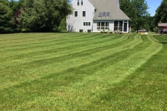 lawncare1