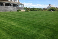 lawncare4